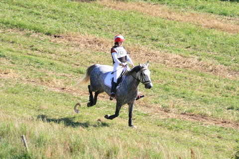 IMG_8686.JPG