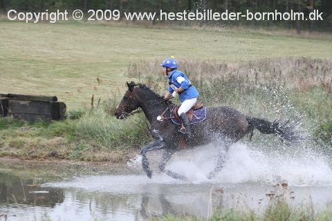 IMG_9704.JPG