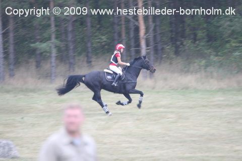 IMG_9795.JPG