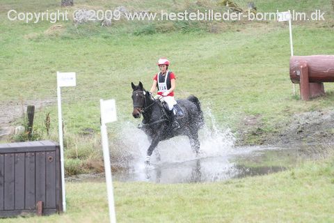 IMG_9799.JPG