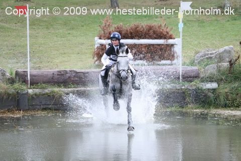 IMG_9544.JPG