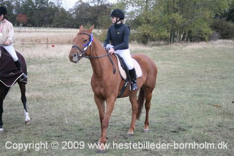 IMG_0163.JPG