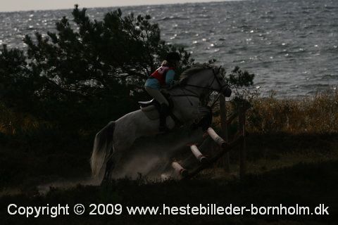IMG_9877.JPG