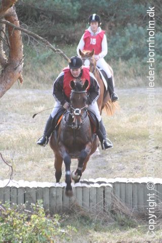 IMG_0123.JPG