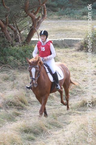 IMG_0124.JPG