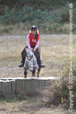 IMG_0125.JPG
