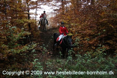 IMG_0340.JPG