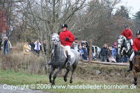 IMG_0445.JPG