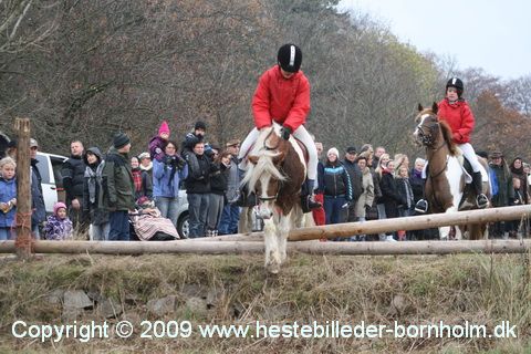 IMG_0455.JPG