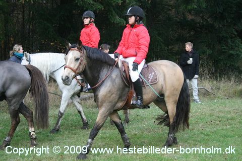 IMG_0620.JPG