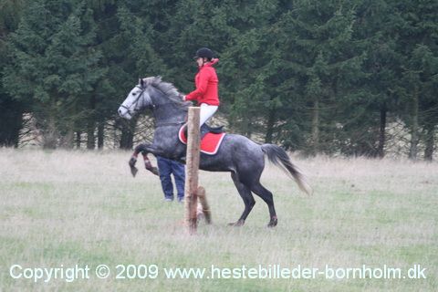 IMG_0726.JPG
