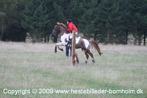 IMG_0728.JPG