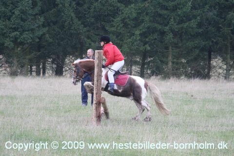 IMG_0729.JPG