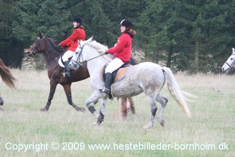 IMG_0732.JPG