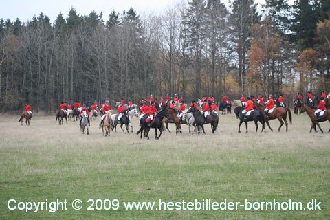 IMG_0790.JPG