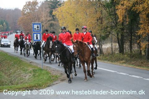 IMG_0793.JPG