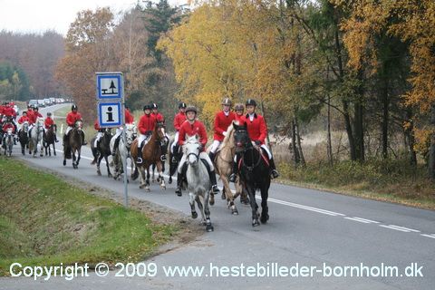 IMG_0806.JPG