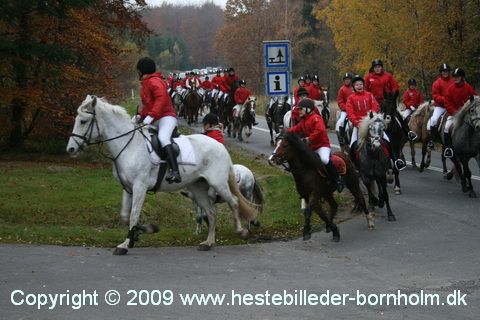 IMG_0819.JPG