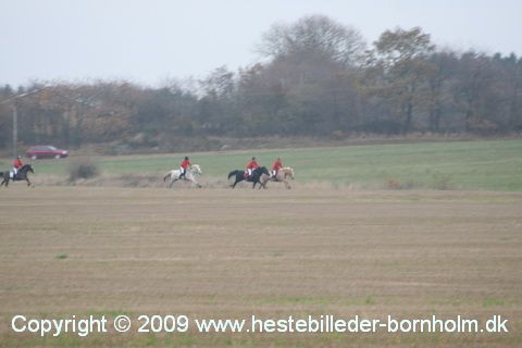 IMG_0855.JPG
