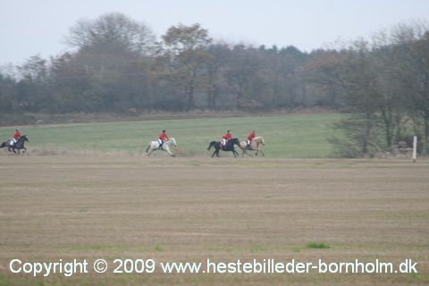 IMG_0856.JPG