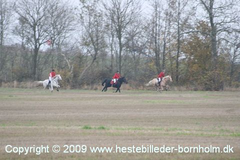 IMG_0857.JPG