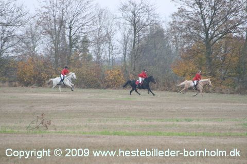 IMG_0858.JPG
