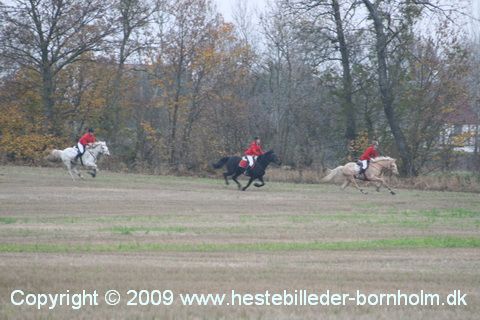 IMG_0859.JPG