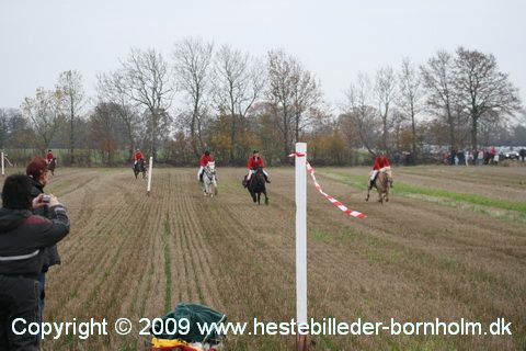 IMG_0861.JPG
