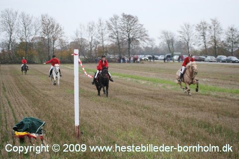 IMG_0865.JPG