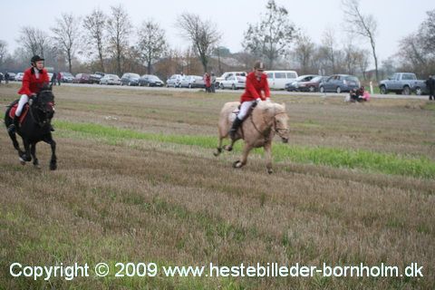 IMG_0866.JPG