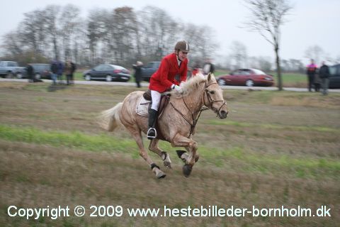 IMG_0868.JPG