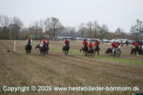 IMG_0879.JPG