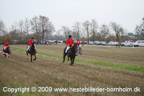 IMG_0903.JPG