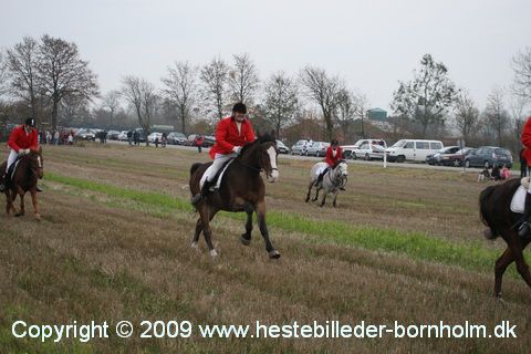 IMG_0904.JPG