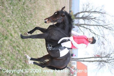IMG_0923.JPG