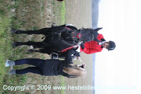 IMG_0931.JPG
