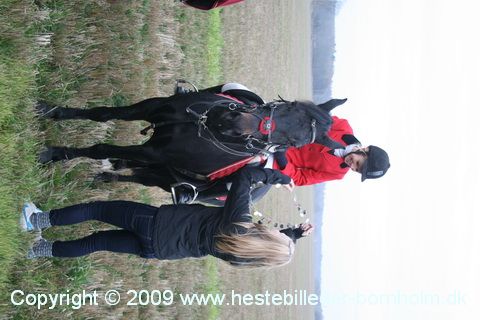 IMG_0932.JPG
