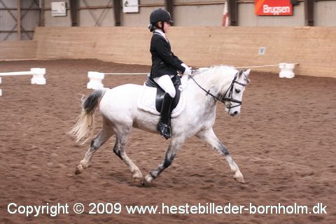 IMG_1743.JPG