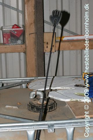 IMG_1982.JPG