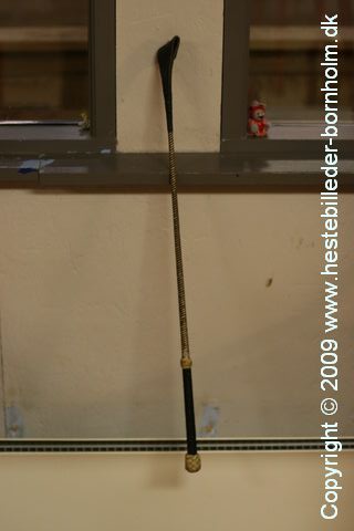 IMG_2133.JPG