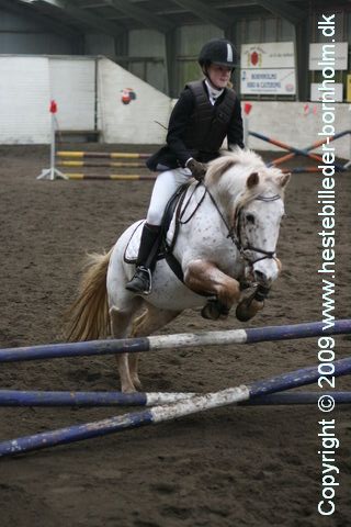 IMG_2171.JPG