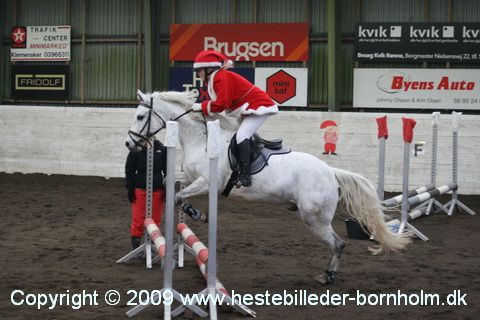 IMG_2175.JPG