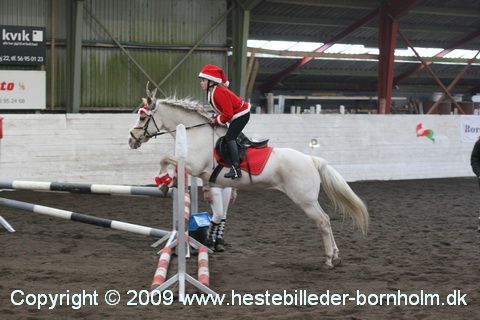 IMG_2246.JPG