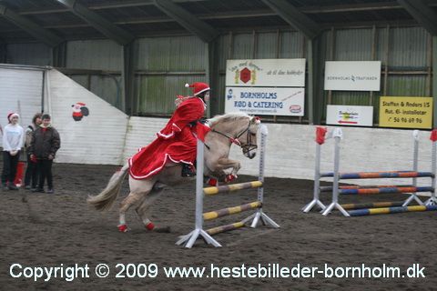 IMG_2249.JPG