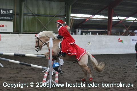 IMG_2250.JPG