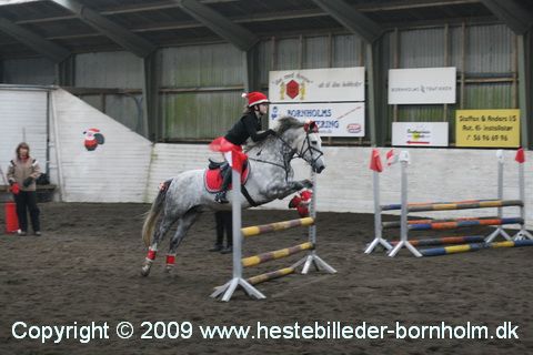 IMG_2252.JPG