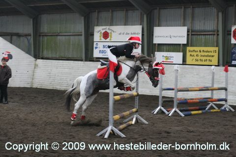 IMG_2294.JPG