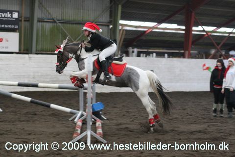 IMG_2295.JPG
