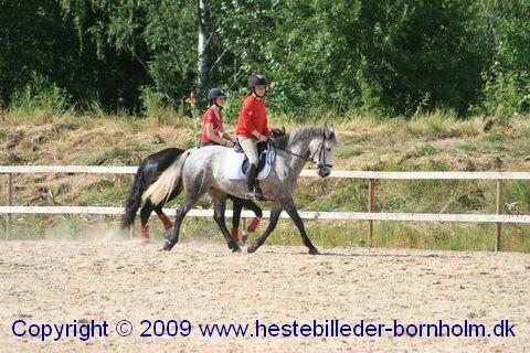 IMG_8386.JPG