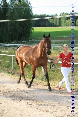 IMG_8450.JPG